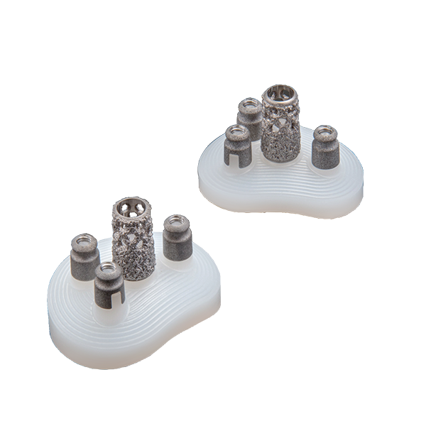 Equinoxe Cage Glenoids